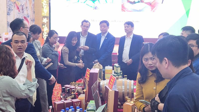 Hội đồng đánh giá, phân loại OCOP Hòa Bình